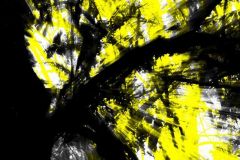 THE-EARTH-S-MOTION-Bodo-Mattia