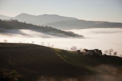 energia-vitale-Verile-Mirella